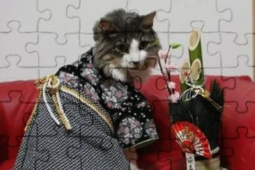 kimono jigsaw puzzle