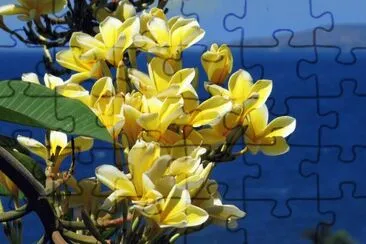 imagens jigsaw puzzle