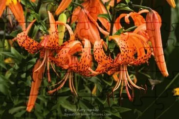 imagens jigsaw puzzle