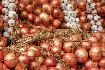 cebollas y ajos