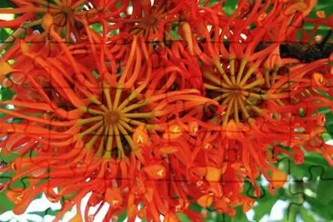imagens jigsaw puzzle