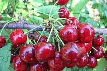 imagens jigsaw puzzle