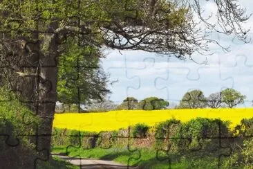 455 jigsaw puzzle