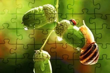 123