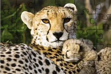 mom#201 jigsaw puzzle