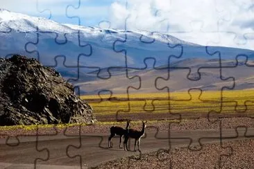 En la RN 60. Catamarca. Argentina
