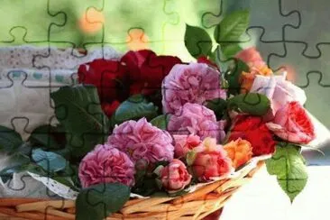 rosas jigsaw puzzle