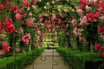 b jigsaw puzzle