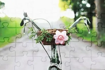 2f jigsaw puzzle
