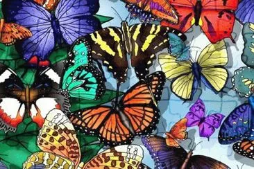 draw jigsaw puzzle