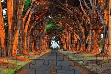 imagens jigsaw puzzle