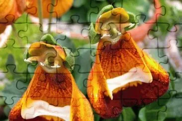 imagens jigsaw puzzle