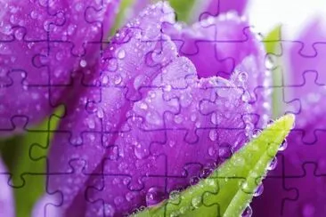 imagens jigsaw puzzle