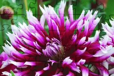 imagens jigsaw puzzle