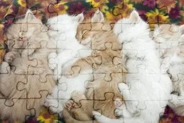 remolones jigsaw puzzle
