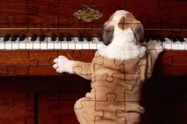pianista jigsaw puzzle