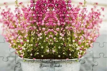 imagens jigsaw puzzle