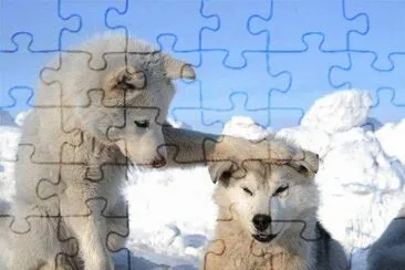  jigsaw puzzle
