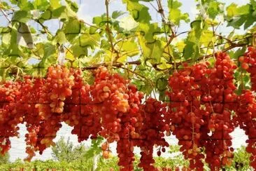 imagens jigsaw puzzle