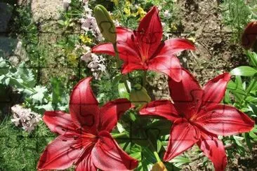 imagens jigsaw puzzle