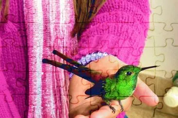 פאזל של colibrÃ­