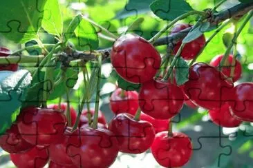 imagens jigsaw puzzle