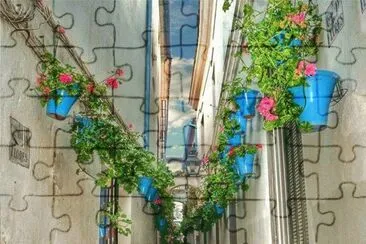 Calle De las Flores-Cordoba