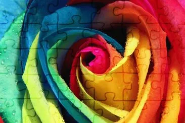 Colors
