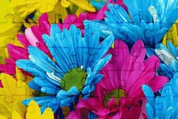 Colors jigsaw puzzle