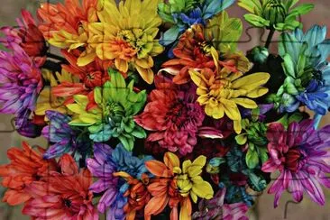 flores