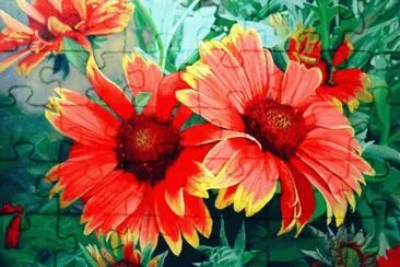 flores