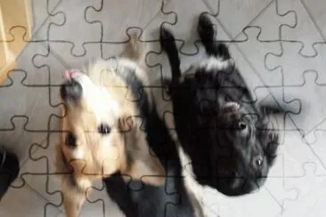 ..... jigsaw puzzle
