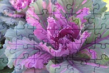imagens jigsaw puzzle