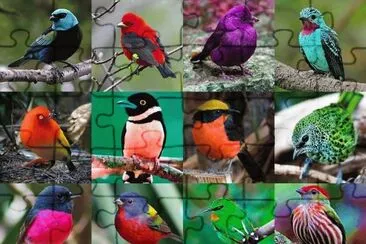 passarinhos jigsaw puzzle