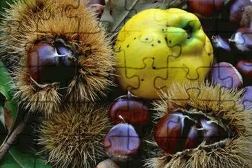 frutas de otoÃ±o