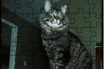 yo no fui jigsaw puzzle