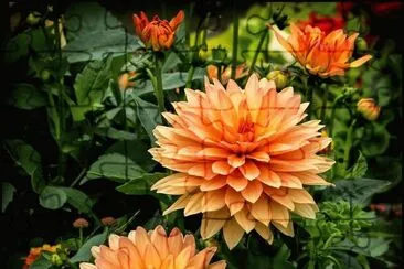 imagens jigsaw puzzle