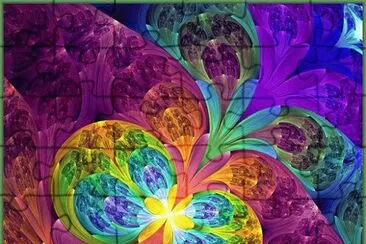 Beauty Flowers