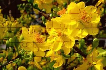 imagens jigsaw puzzle