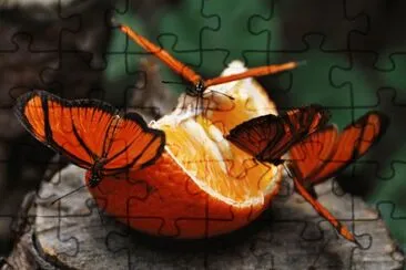 mariposas golosas jigsaw puzzle