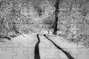 218 jigsaw puzzle