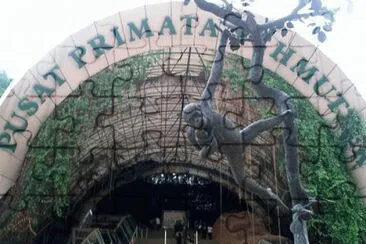 zoo