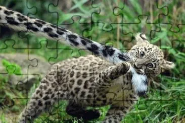 jugando