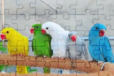 Colors jigsaw puzzle