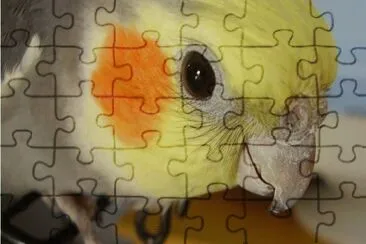 Colors jigsaw puzzle
