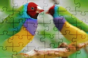 Colors jigsaw puzzle