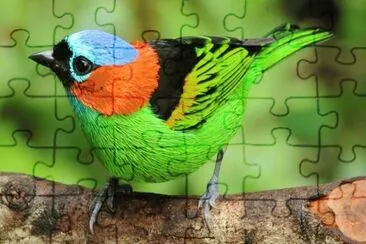 Colors jigsaw puzzle