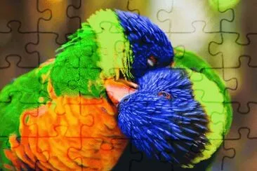 Colors jigsaw puzzle