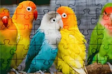 Colors jigsaw puzzle