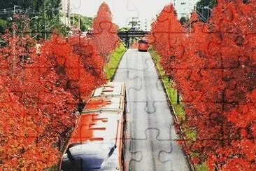 imagens jigsaw puzzle